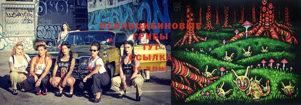 каннабис Беломорск
